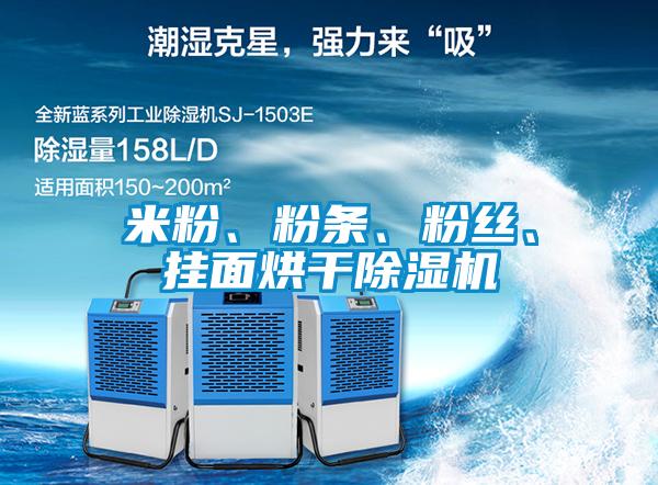 米粉、粉條、粉絲、掛面烘干除濕機