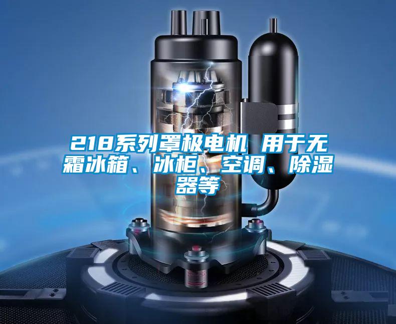 218系列罩極電機 用于無霜冰箱、冰柜、空調、除濕器等