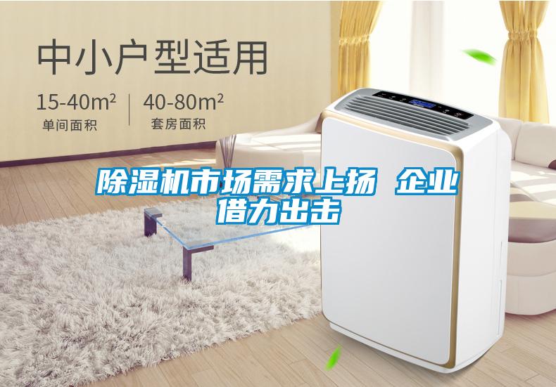 除濕機(jī)市場需求上揚 企業(yè)借力出擊