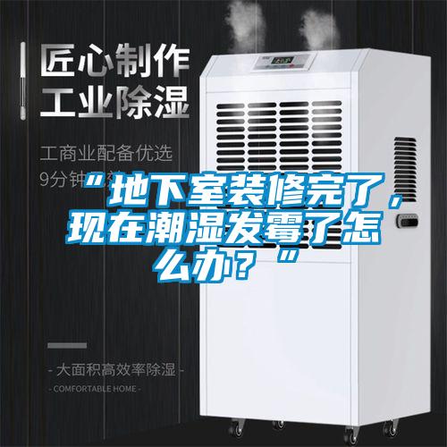 “地下室裝修完了，現在潮濕發霉了怎么辦？”