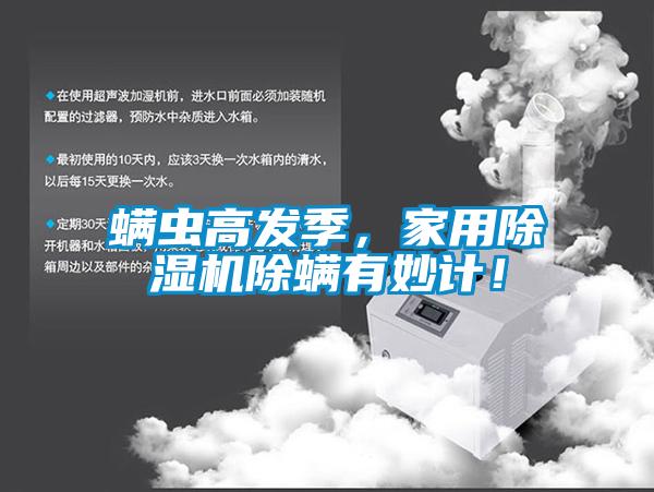 螨蟲高發季，家用除濕機除螨有妙計！