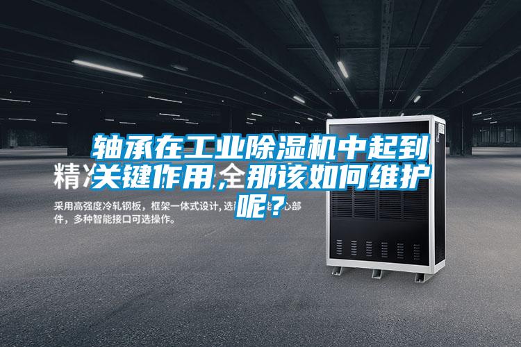 軸承在工業除濕機中起到關鍵作用，那該如何維護呢？