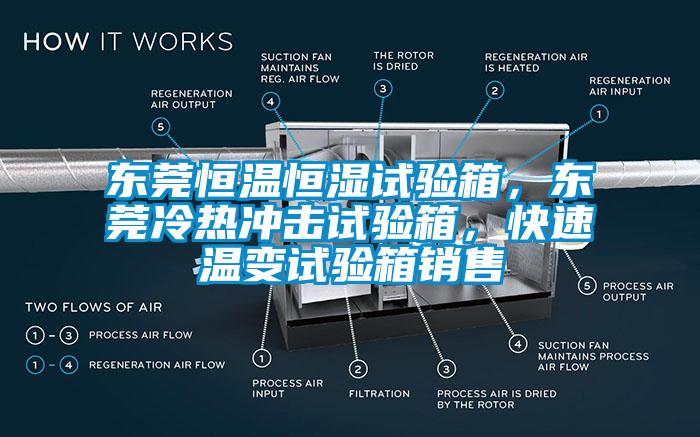 東莞恒溫恒濕試驗箱，東莞冷熱沖擊試驗箱，快速溫變試驗箱銷售