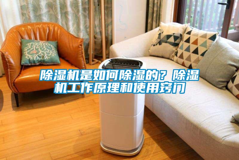 除濕機(jī)是如何除濕的？除濕機(jī)工作原理和使用竅門(mén)