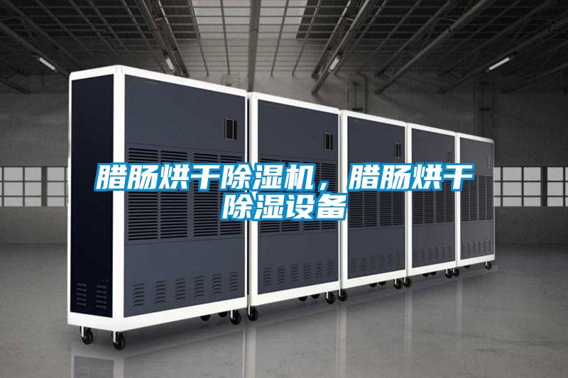 臘腸烘干除濕機(jī)，臘腸烘干除濕設(shè)備