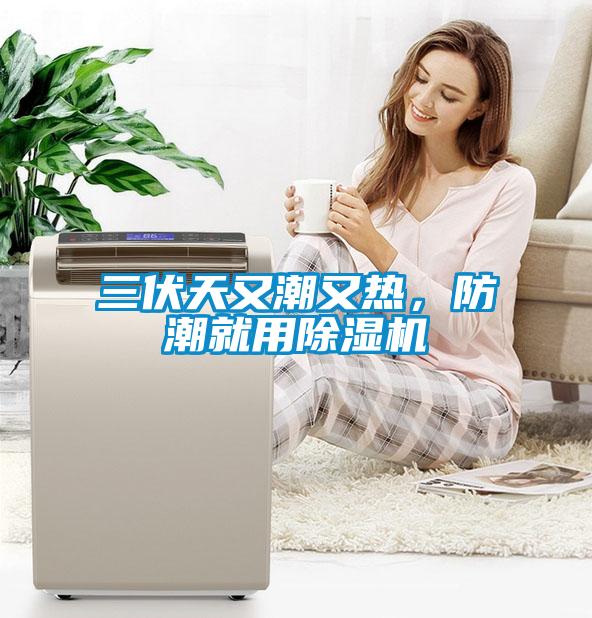 三伏天又潮又熱，防潮就用除濕機