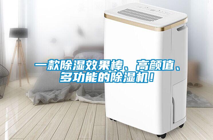一款除濕效果棒、高顏值、多功能的除濕機！