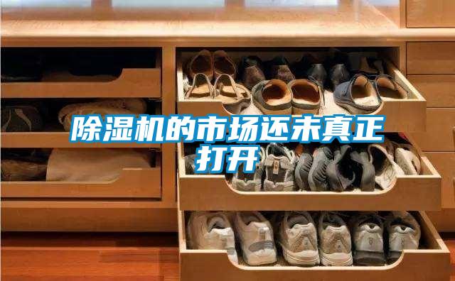 除濕機(jī)的市場(chǎng)還未真正打開