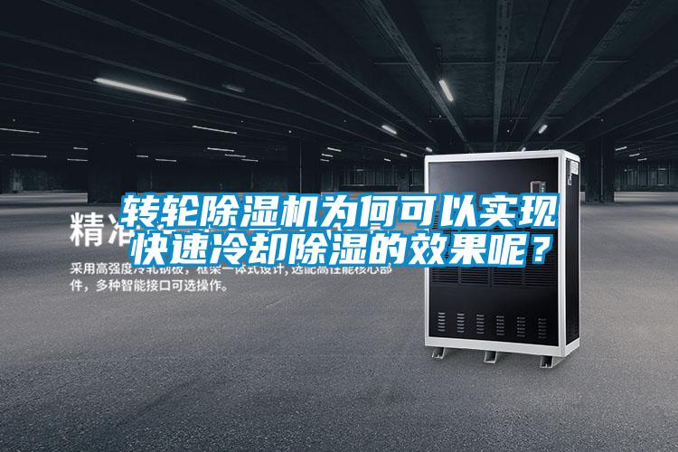 轉輪除濕機為何可以實現快速冷卻除濕的效果呢？