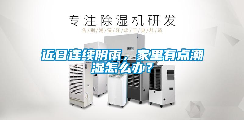 近日連續陰雨，家里有點潮濕怎么辦？