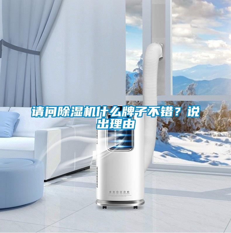 請(qǐng)問除濕機(jī)什么牌子不錯(cuò)？說出理由
