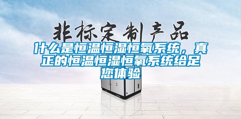 什么是恒溫恒濕恒氧系統，真正的恒溫恒濕恒氧系統給足您體驗