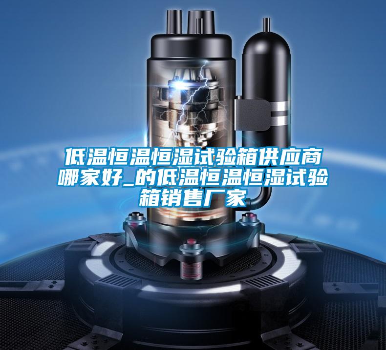低溫恒溫恒濕試驗(yàn)箱供應(yīng)商哪家好_的低溫恒溫恒濕試驗(yàn)箱銷售廠家