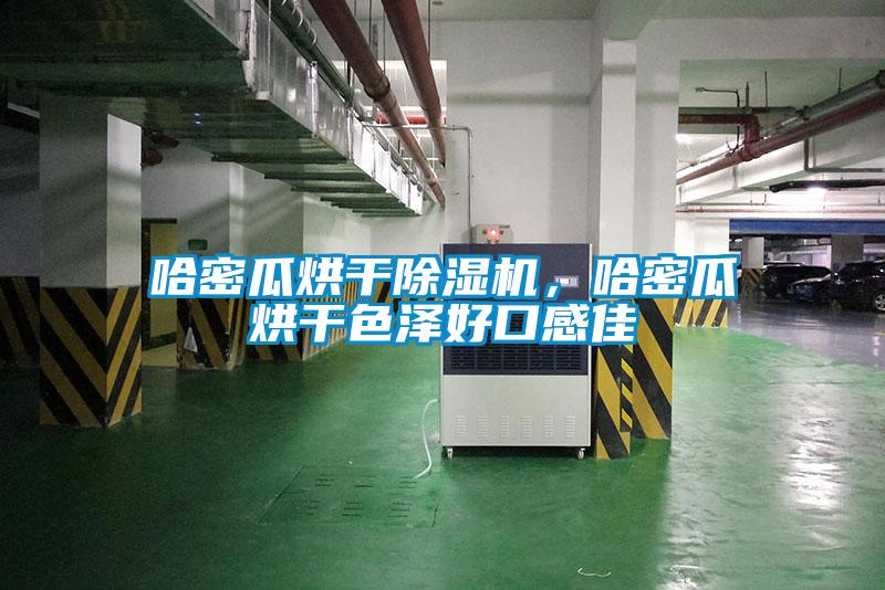 哈密瓜烘干除濕機(jī)，哈密瓜烘干色澤好口感佳