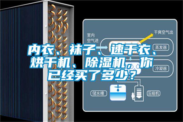 內衣、襪子、速干衣、烘干機、除濕機，你已經(jīng)買了多少？