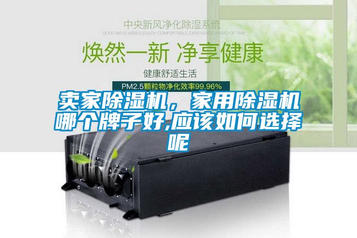 賣家除濕機，家用除濕機哪個牌子好,應該如何選擇呢