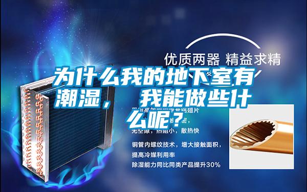 為什么我的地下室有潮濕， 我能做些什么呢？