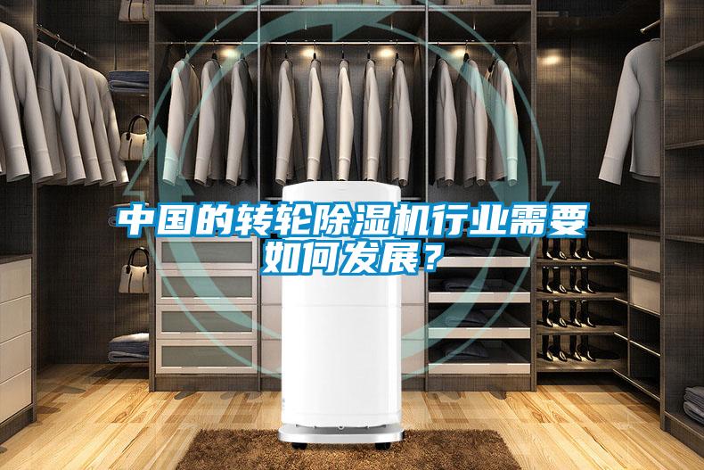 中國(guó)的轉(zhuǎn)輪除濕機(jī)行業(yè)需要如何發(fā)展？