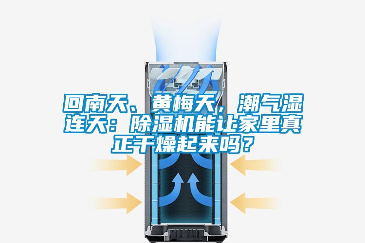 回南天、黃梅天，潮氣濕連天：除濕機能讓家里真正干燥起來嗎？