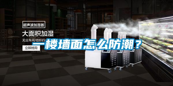 一樓墻面怎么防潮？