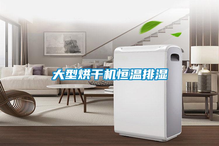 大型烘干機(jī)恒溫排濕