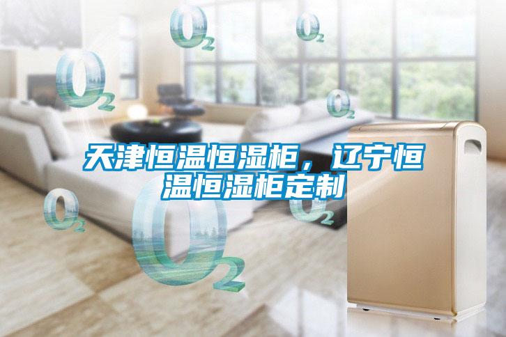 天津恒溫恒濕柜，遼寧恒溫恒濕柜定制
