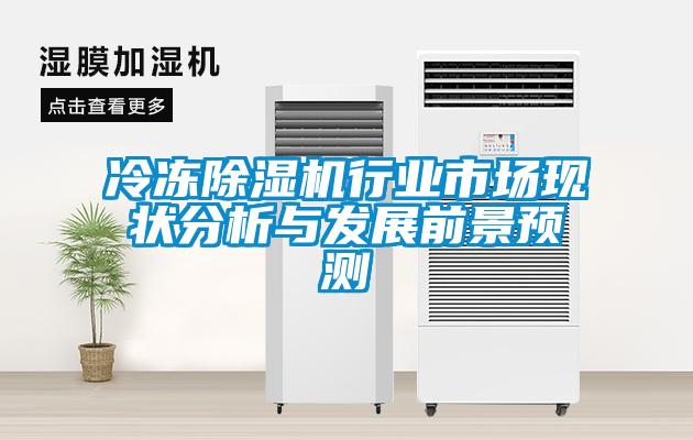 冷凍除濕機行業(yè)市場現(xiàn)狀分析與發(fā)展前景預(yù)測
