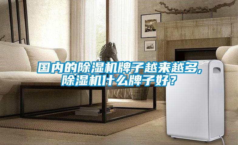 國內(nèi)的除濕機(jī)牌子越來越多,除濕機(jī)什么牌子好？