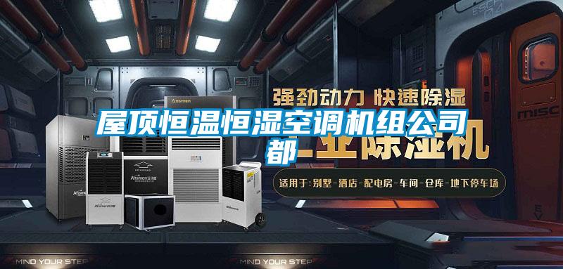 屋頂恒溫恒濕空調(diào)機組公司都