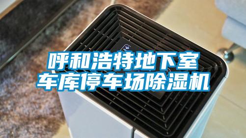 呼和浩特地下室車(chē)庫(kù)停車(chē)場(chǎng)除濕機(jī)