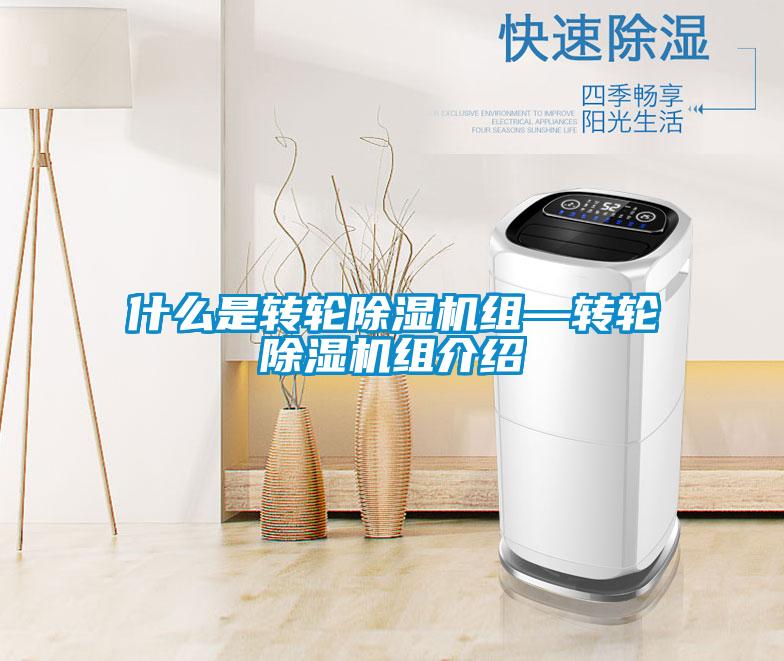 什么是轉(zhuǎn)輪除濕機組—轉(zhuǎn)輪除濕機組介紹