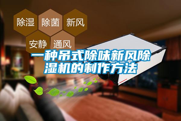 一種吊式除味新風(fēng)除濕機的制作方法