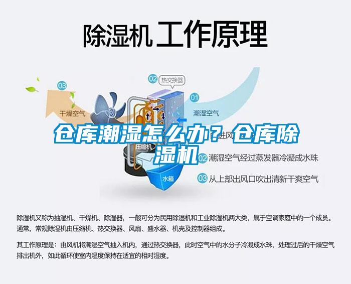 倉庫潮濕怎么辦？倉庫除濕機