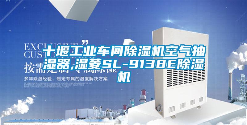 十堰工業(yè)車間除濕機空氣抽濕器,濕菱SL-9138E除濕機