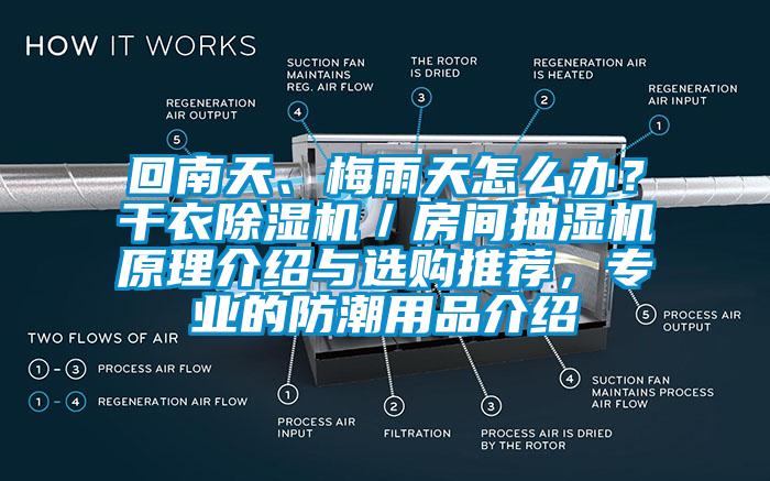 回南天、梅雨天怎么辦？干衣除濕機／房間抽濕機原理介紹與選購推薦，專業的防潮用品介紹
