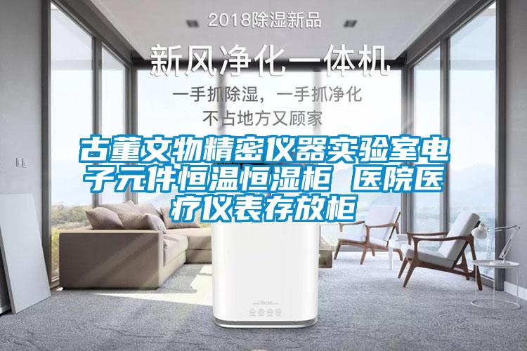 古董文物精密儀器實驗室電子元件恒溫恒濕柜 醫(yī)院醫(yī)療儀表存放柜