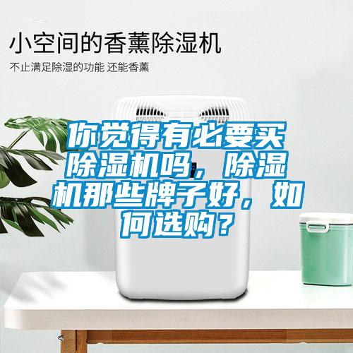 你覺得有必要買除濕機嗎，除濕機那些牌子好，如何選購？