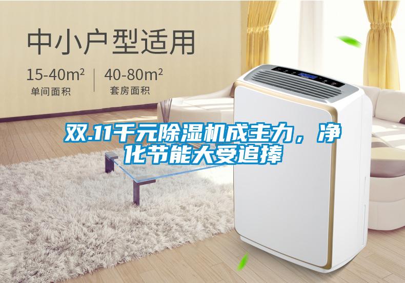 雙.11千元除濕機成主力，凈化節能大受追捧