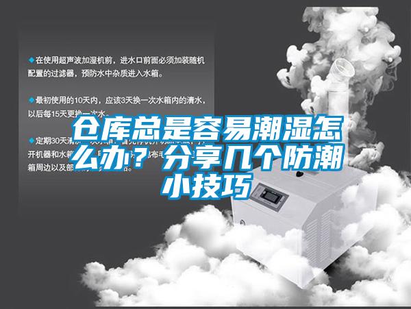 倉(cāng)庫(kù)總是容易潮濕怎么辦？分享幾個(gè)防潮小技巧