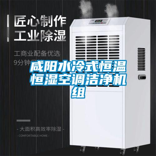 咸陽水冷式恒溫恒濕空調(diào)潔凈機(jī)組