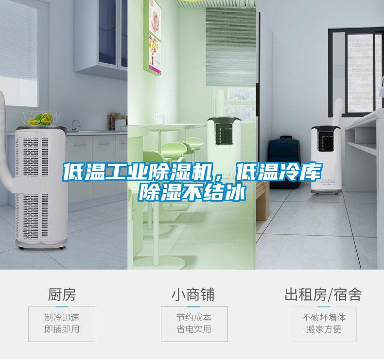 低溫工業(yè)除濕機(jī)，低溫冷庫除濕不結(jié)冰