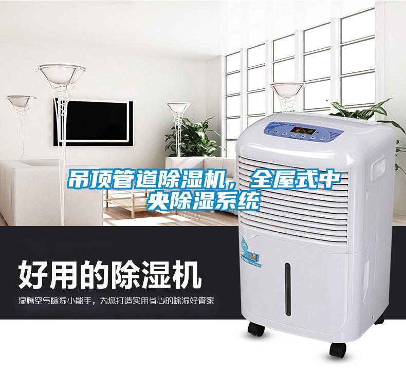 吊頂管道除濕機，全屋式中央除濕系統