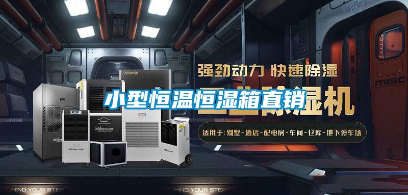 小型恒溫恒濕箱直銷(xiāo)