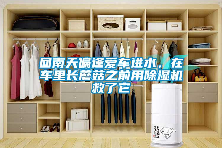 回南天偏逢愛車進(jìn)水，在車?yán)镩L蘑菇之前用除濕機(jī)救了它