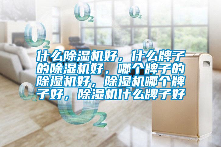 什么除濕機好，什么牌子的除濕機好，哪個牌子的除濕機好，除濕機哪個牌子好，除濕機什么牌子好
