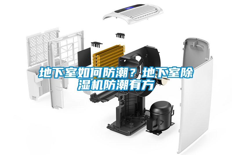 地下室如何防潮？地下室除濕機(jī)防潮有方
