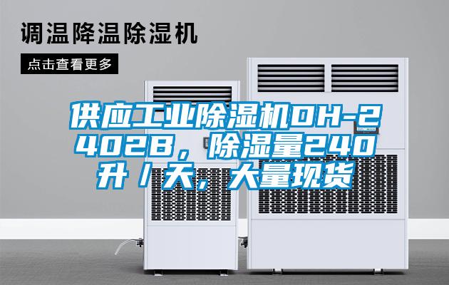 供應工業(yè)除濕機DH-2402B，除濕量240升／天，大量現(xiàn)貨