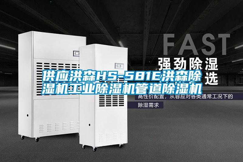 供應(yīng)洪森HS-581E洪森除濕機工業(yè)除濕機管道除濕機