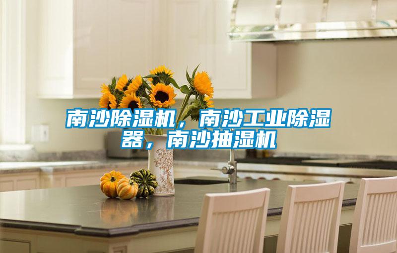 南沙除濕機(jī)，南沙工業(yè)除濕器，南沙抽濕機(jī)