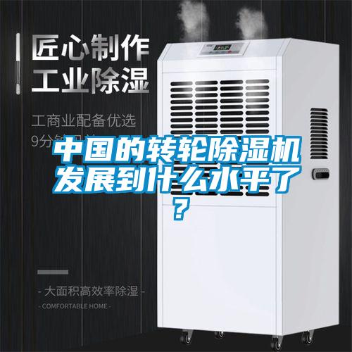 中國的轉(zhuǎn)輪除濕機(jī)發(fā)展到什么水平了？